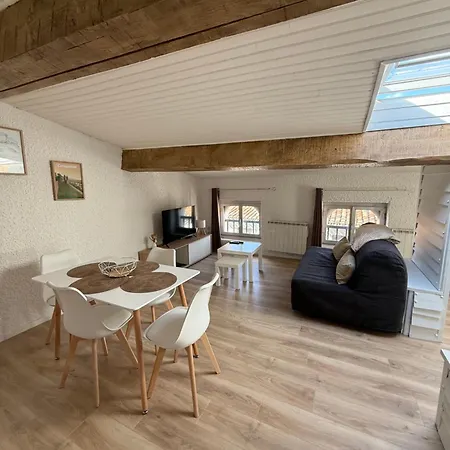 Apartamento Le Nid Des Remparts Carcassonne